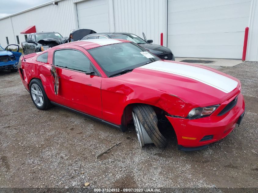 1ZVBP8AN8A5154857 2010 Ford Mustang V6