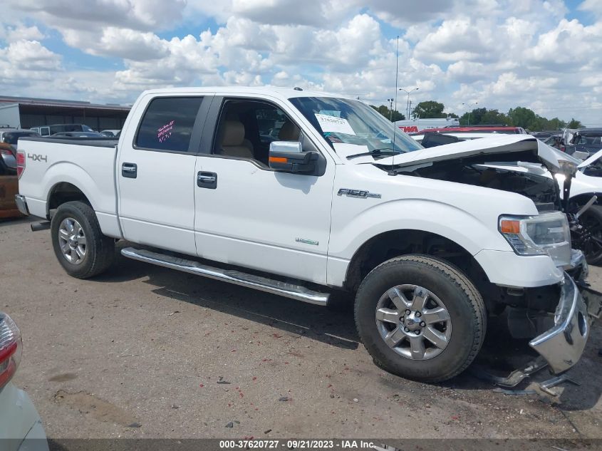 2014 Ford F-150 Xl/Xlt/Fx4/Lariat VIN: 1FTFW1ET1EKG31479 Lot: 37620727