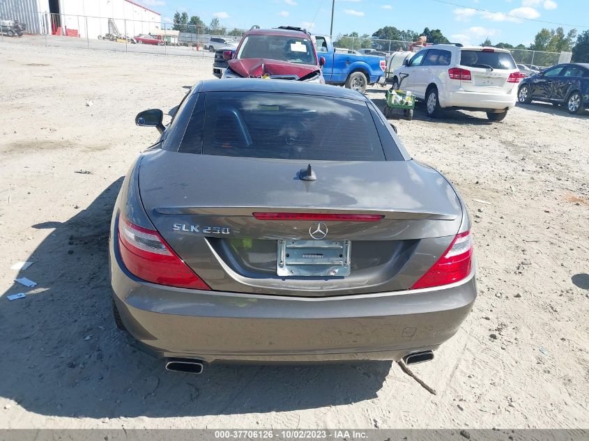 VIN WDDPK4HA3FF102160 2015 Mercedes-Benz SLK-Class,... no.17