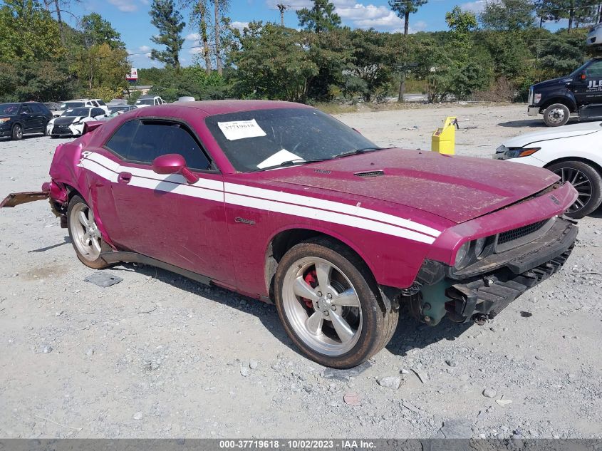 2010 Dodge Challenger R/T VIN: 2B3CJ5DT8AH295889 Lot: 37719618