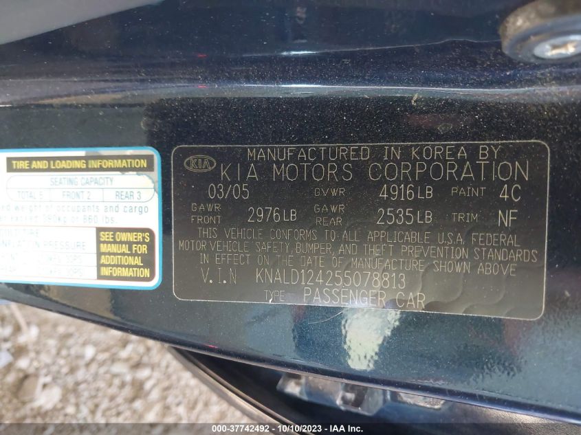 2005 Kia Amanti VIN: KNALD124255078813 Lot: 37742492