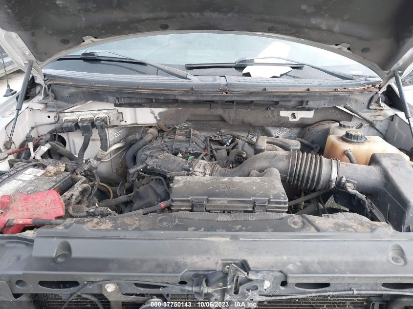 2011 Ford F-150 Xl/Xlt VIN: 1FTEW1CM2BFB81384 Lot: 37750143