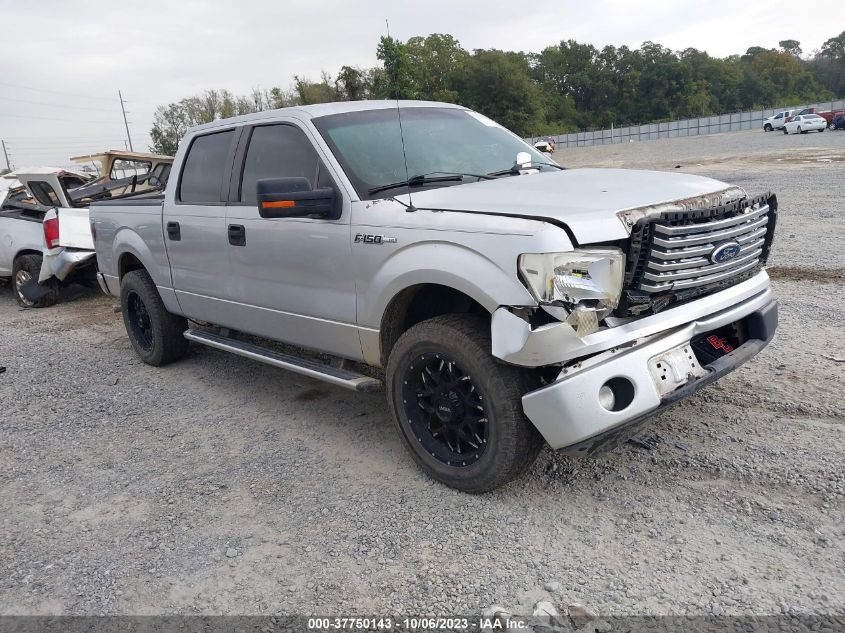 2011 Ford F-150 Xl/Xlt VIN: 1FTEW1CM2BFB81384 Lot: 37750143