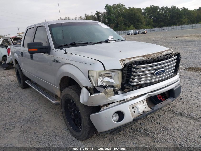 2011 Ford F-150 Xl/Xlt VIN: 1FTEW1CM2BFB81384 Lot: 37750143