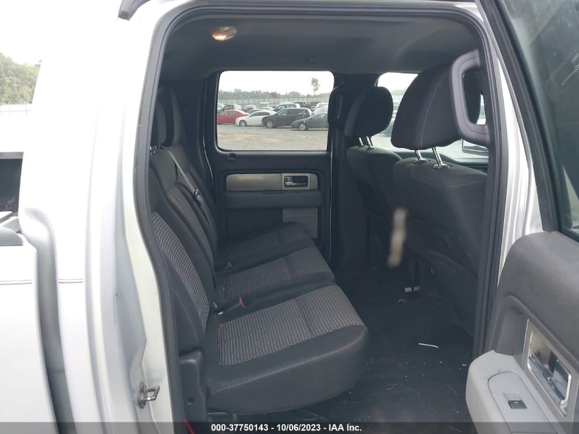 2011 Ford F-150 Xl/Xlt VIN: 1FTEW1CM2BFB81384 Lot: 37750143