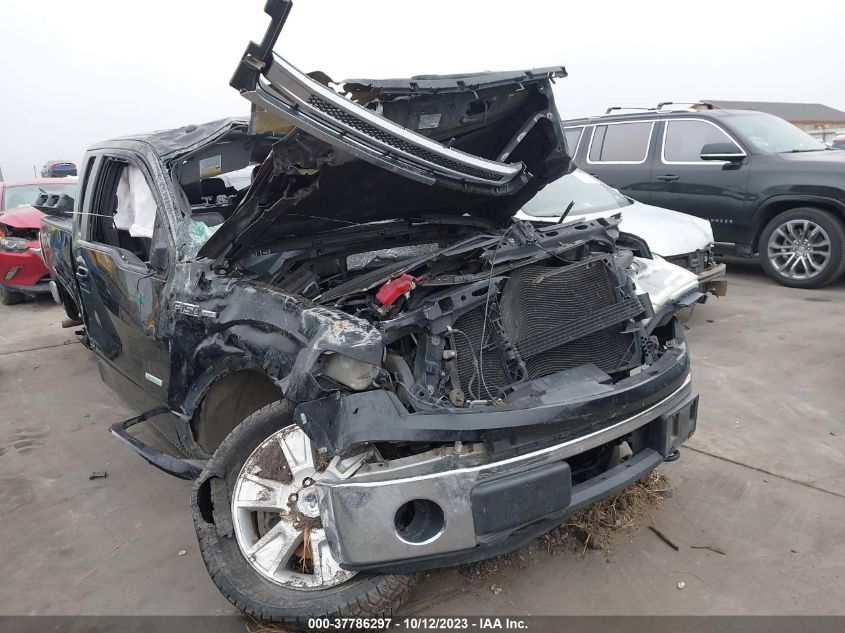 2013 Ford F-150 Lariat VIN: 1FTFX1ET2DFB67896 Lot: 37786297