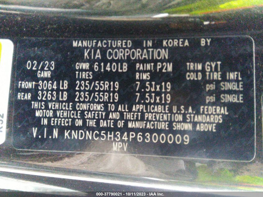 2023 Kia Carnival Ex VIN: KNDNC5H34P6300009 Lot: 37790021