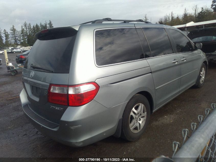 2005 Honda Odyssey Ex-L VIN: 5FNRL38745B037613 Lot: 37790190