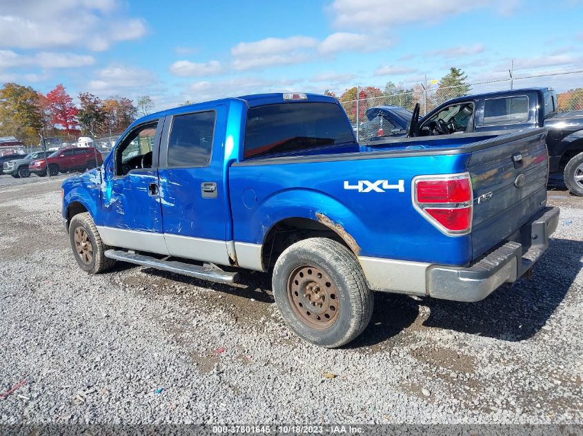 2012 Ford F-150 Xlt VIN: 1FTFW1EF5CFC32199 Lot: 37801645