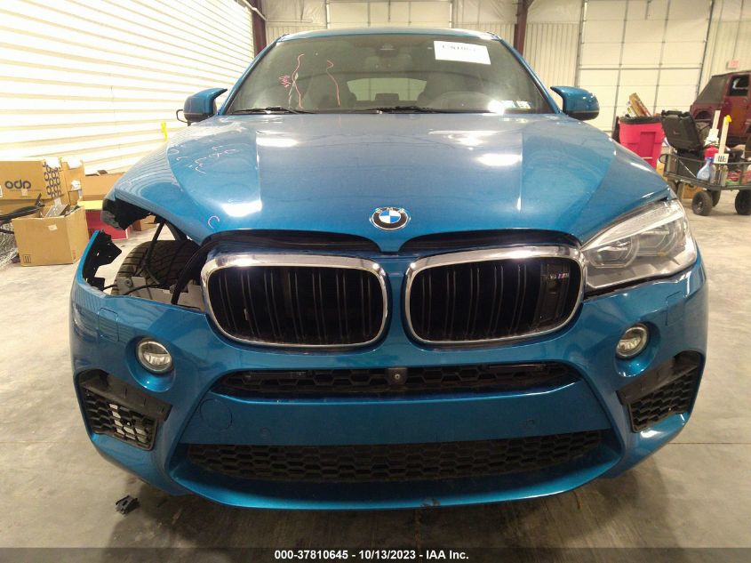 VIN 5YMKW8C50G0R43312 2016 BMW X6, X6 M no.13