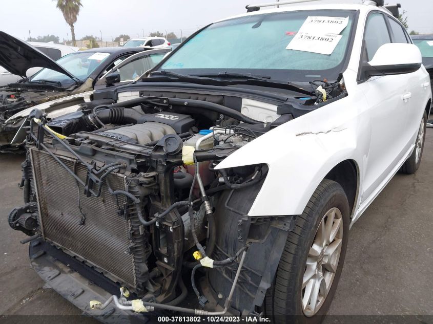 2010 Audi Q5 Premium VIN: WA1CKAFP0AA077085 Lot: 37813802