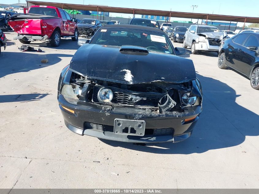 2007 Ford Mustang Gt VIN: 1ZVHT85H075289530 Lot: 37819865