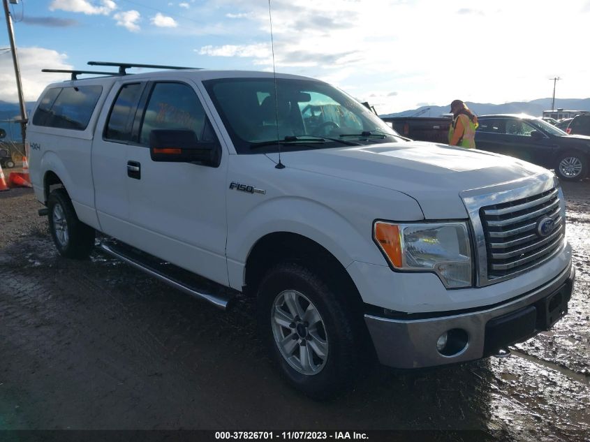 2011 Ford F-150 Xl/Stx/Xlt/Fx4/Lariat VIN: 1FTFX1EF2BFB10539 Lot: 37826701