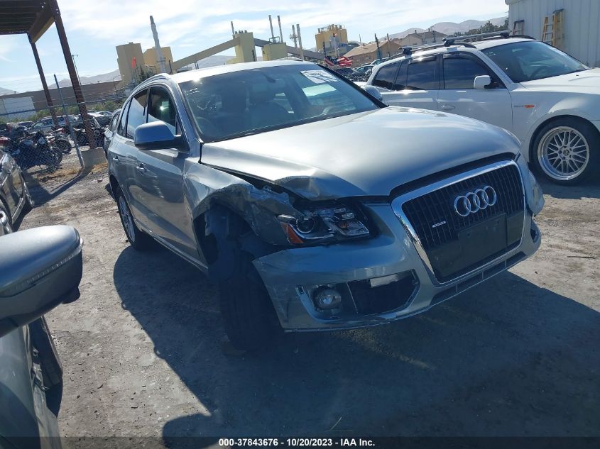 2010 Audi Q5 Premium Plus VIN: WA1LKAFP2AA055430 Lot: 37843676