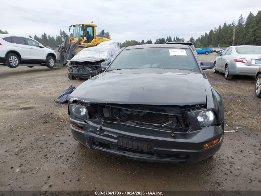 2009 Ford Mustang VIN: 1ZVHT80N295134462 Lot: 37861793