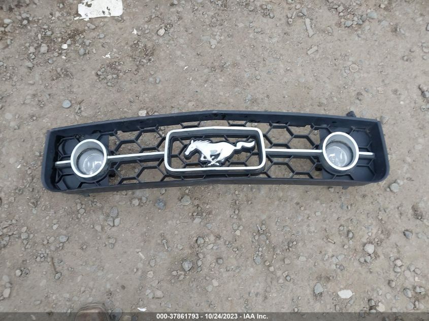 2009 Ford Mustang VIN: 1ZVHT80N295134462 Lot: 37861793