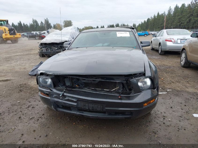 2009 Ford Mustang VIN: 1ZVHT80N295134462 Lot: 37861793