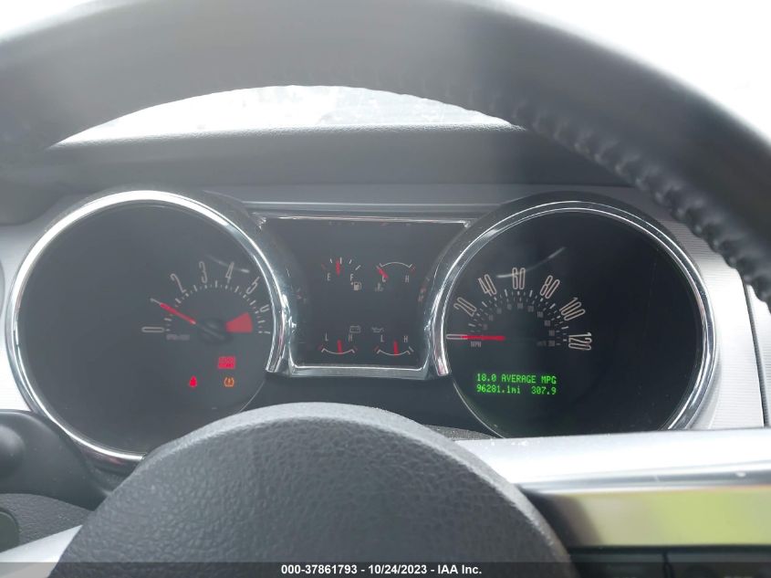 2009 Ford Mustang VIN: 1ZVHT80N295134462 Lot: 37861793