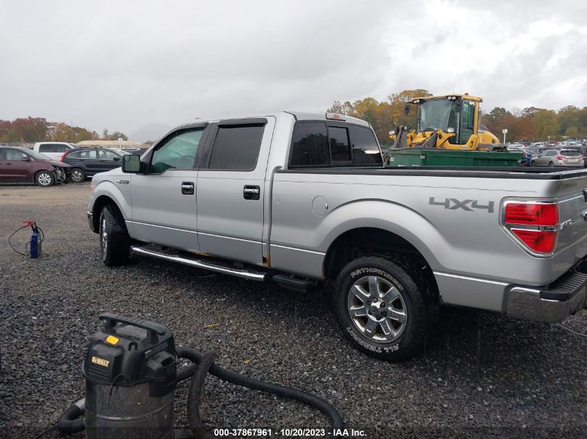 1FTFW1EF8DKF64629 2013 Ford F-150 Xlt