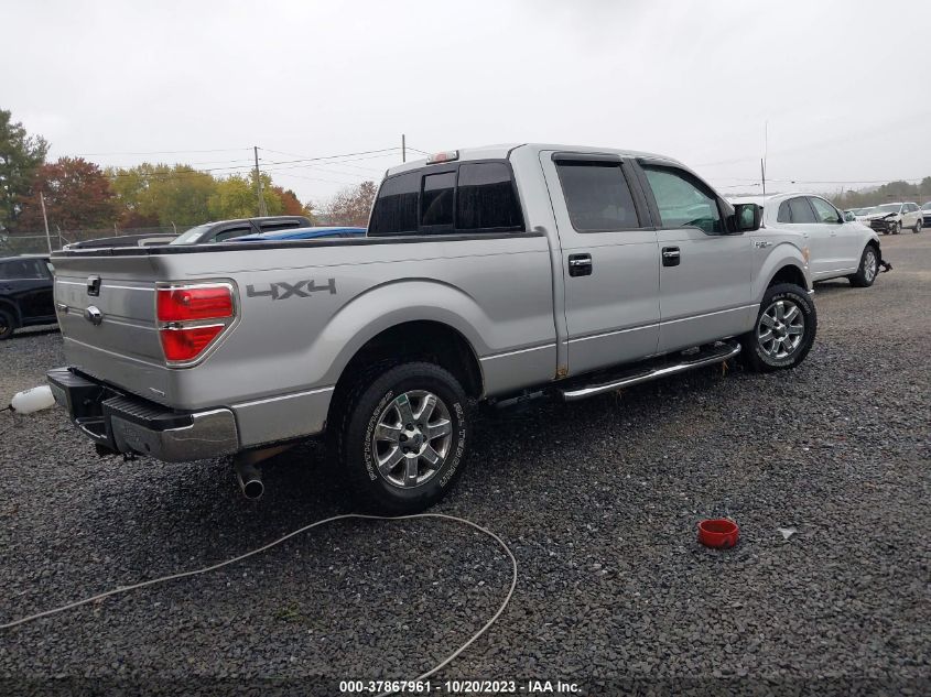 1FTFW1EF8DKF64629 2013 Ford F-150 Xlt