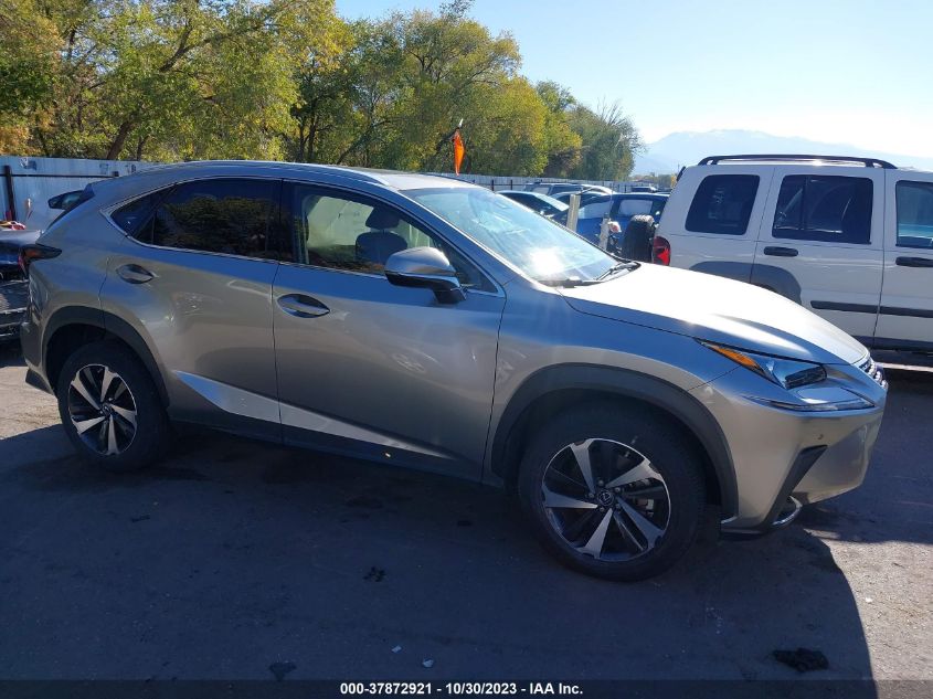 2021 Lexus Nx Nx 300 VIN: JTJGARDZ8M2255821 Lot: 37872921