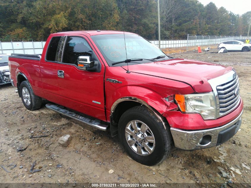 2011 Ford F-150 Xlt VIN: 1FTFX1CT7BFD01351 Lot: 37883211