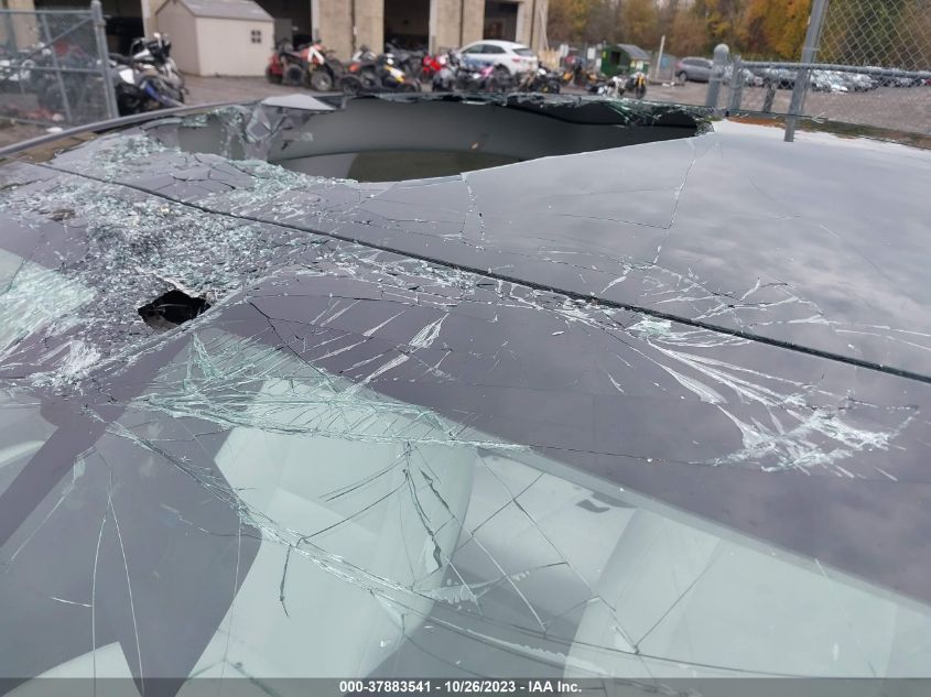 2023 Tesla Model Y Long Range VIN: 7SAYGDEE9PF790942 Lot: 37883541