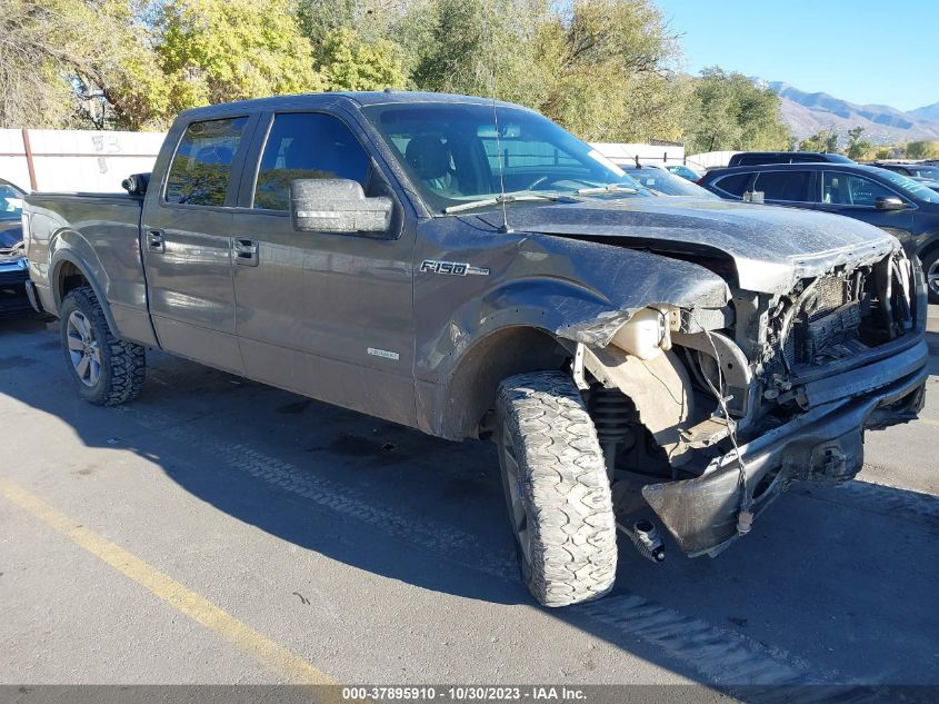 2013 Ford F-150 Xl/Xlt/Fx4/Lariat VIN: 1FTFW1ET2DKG29187 Lot: 37895910