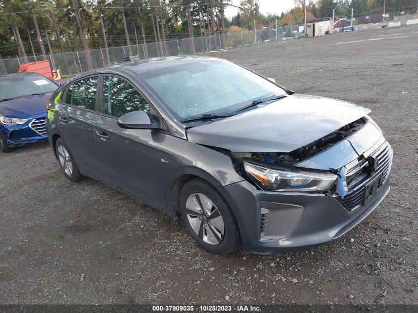 2019 Hyundai Ioniq Hybrid Blue VIN: KMHC65LC1KU173614 Lot: 37909035