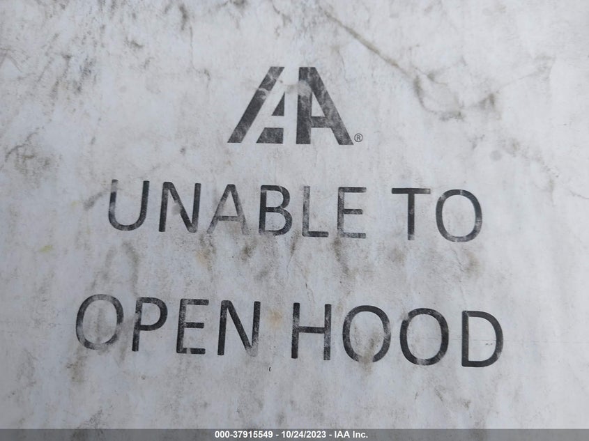 2019 Tesla Model S P100D/Performance/Long Range/100D VIN: 5YJSA1E40KF332564 Lot: 37915549