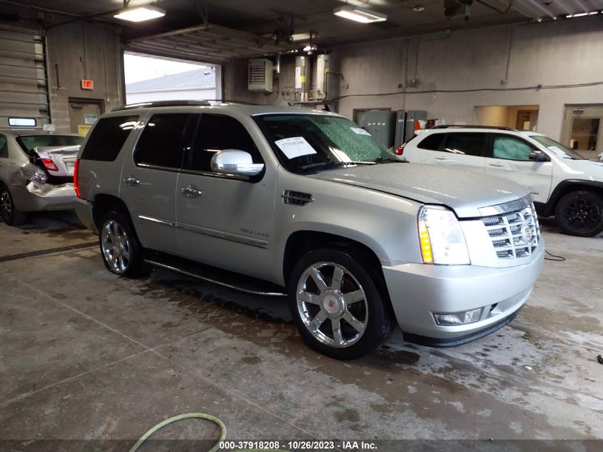 2013 Cadillac Escalade Luxury VIN: 1GYS4BEFXDR273058 Lot: 37918208