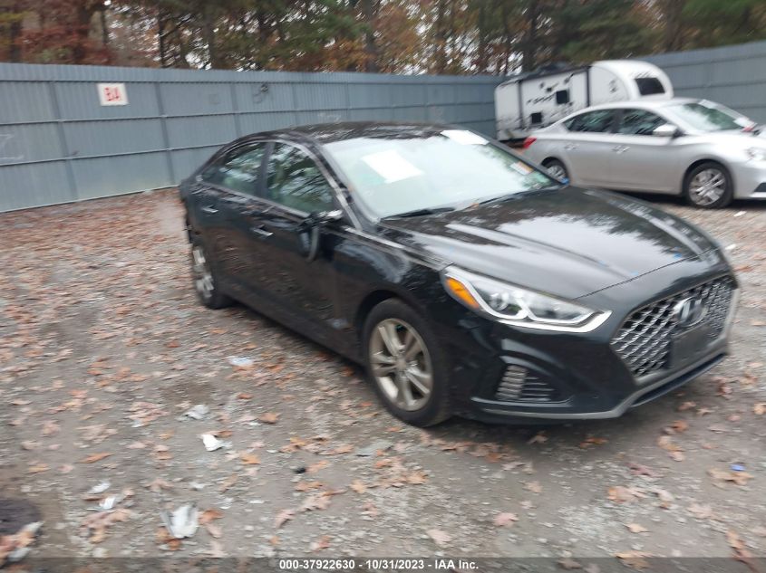 2019 Hyundai Sonata Sel VIN: 5NPE34AF4KH795471 Lot: 37922630