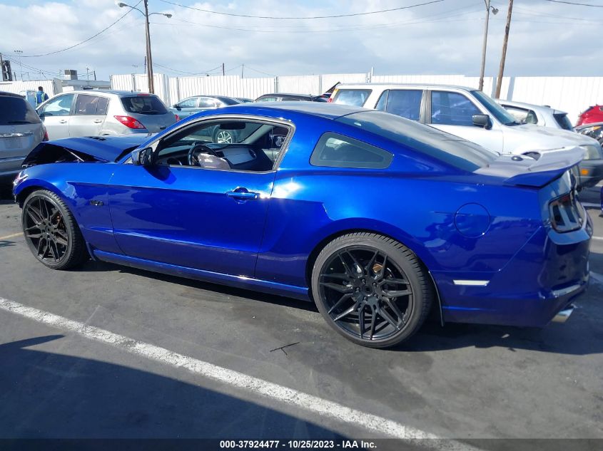 2013 Ford Mustang Gt VIN: 1ZVBP8CF5D5269569 Lot: 37924477