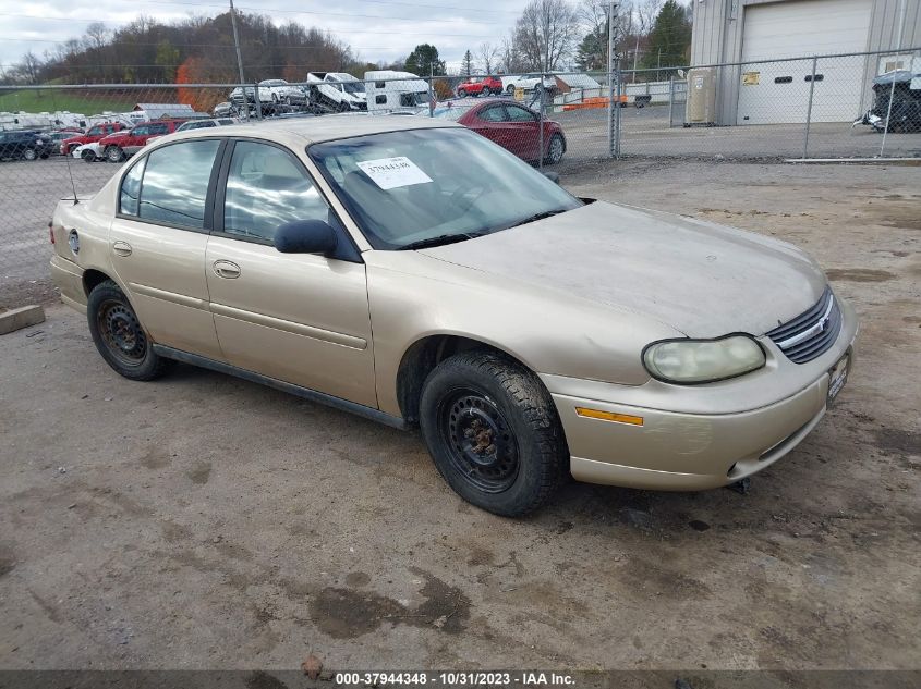 2005 Chevrolet Classic VIN: 1G1ND52F35M193181 Lot: 37944348