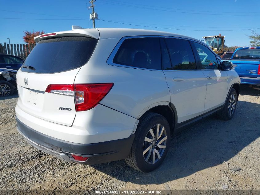 2019 Honda Pilot Ex VIN: 5FNYF6H38KB027860 Lot: 37944927