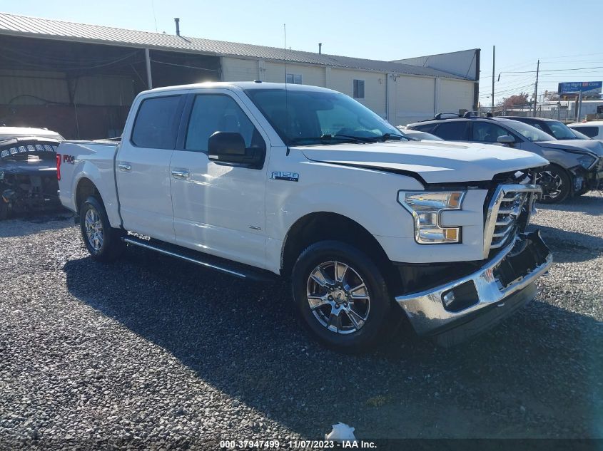 2015 Ford F-150 Xlt VIN: 1FTEW1EG9FFC84847 Lot: 37947499