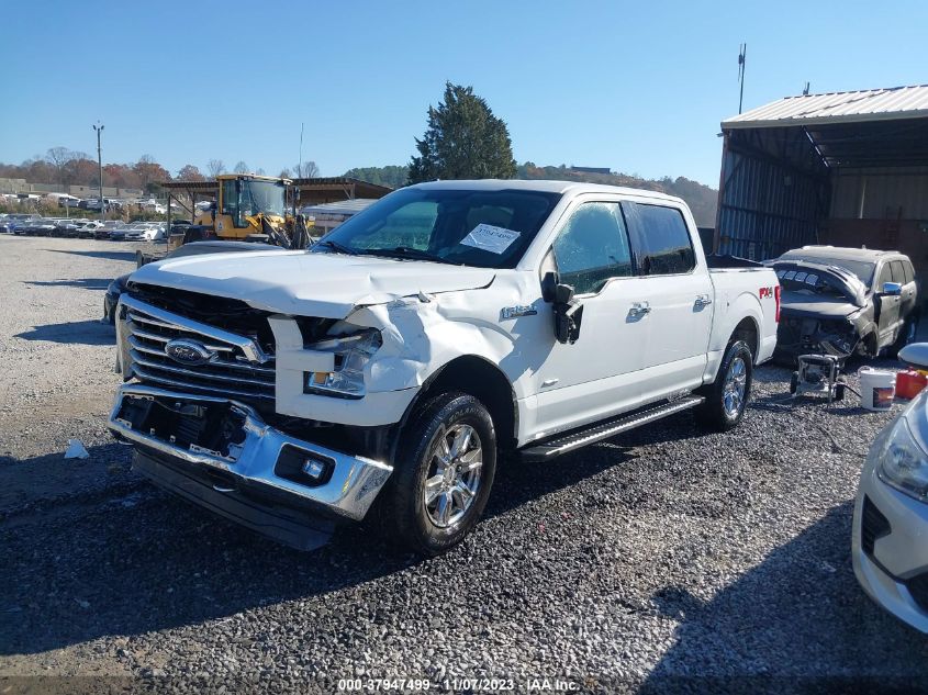 2015 Ford F-150 Xlt VIN: 1FTEW1EG9FFC84847 Lot: 37947499