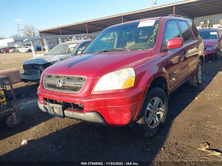 2004 Honda Pilot Ex VIN: 5FNYF18464B007699 Lot: 37949582