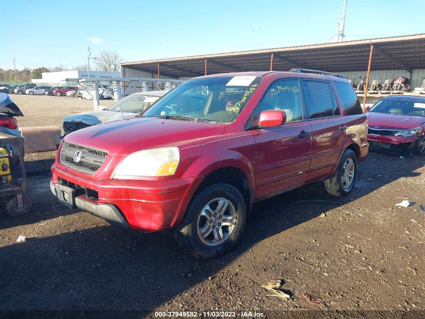 2004 Honda Pilot Ex VIN: 5FNYF18464B007699 Lot: 37949582