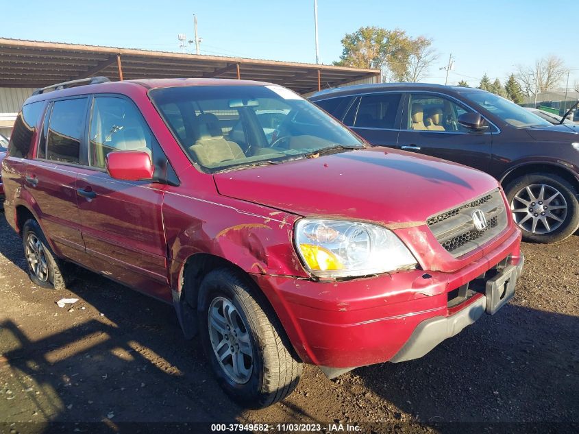 2004 Honda Pilot Ex VIN: 5FNYF18464B007699 Lot: 37949582