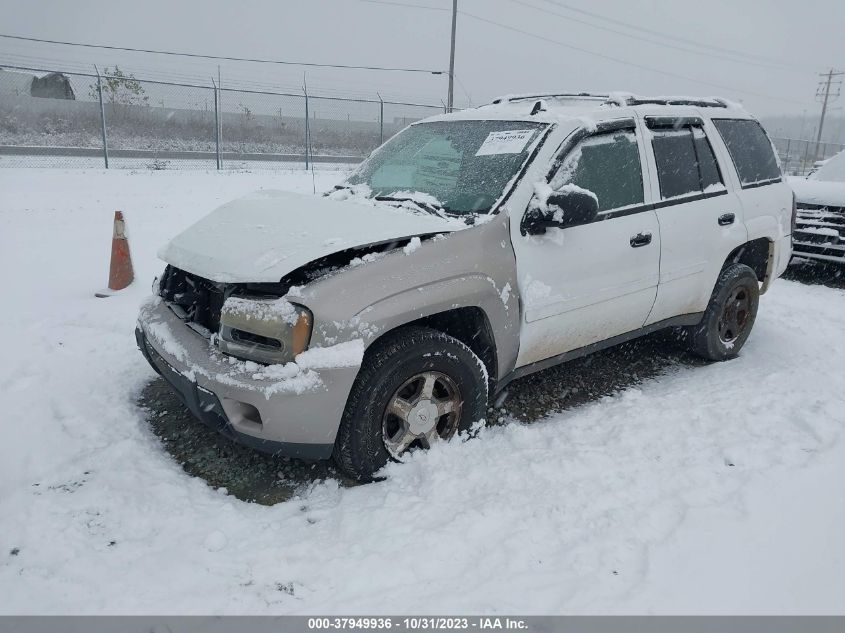 2006 Chevrolet Trailblazer Ls VIN: 1GNDT13S962351960 Lot: 37949936