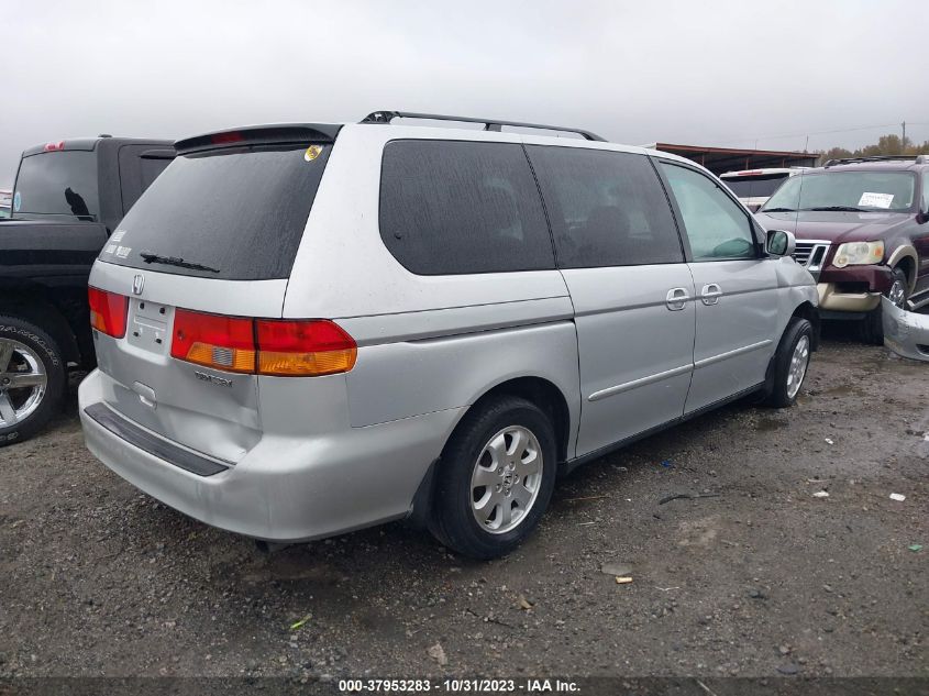 2004 Honda Odyssey Ex-L VIN: 5FNRL18974B067256 Lot: 37953283