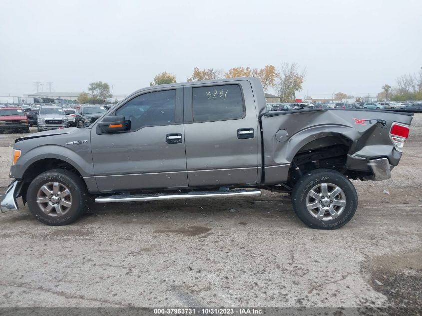 2013 Ford F-150 Xlt VIN: 1FTFW1EF6DFC99217 Lot: 37953731