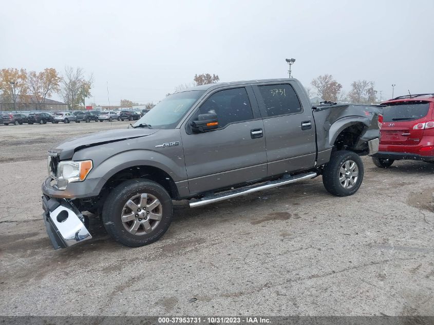 2013 Ford F-150 Xlt VIN: 1FTFW1EF6DFC99217 Lot: 37953731