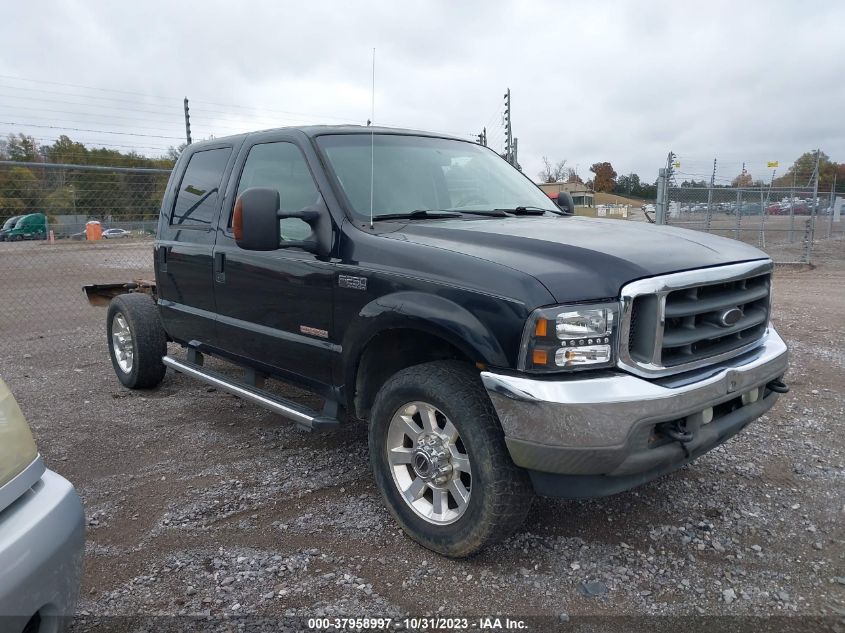 2004 Ford Super Duty F-250 Xl/Xlt/Lariat VIN: 1FTNW21P84EA87179 Lot: 37958997