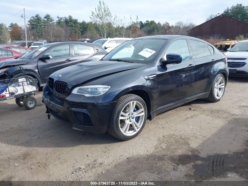 VIN 5YMGZ0C56E0C40473 2014 BMW X6, X6 M no.15