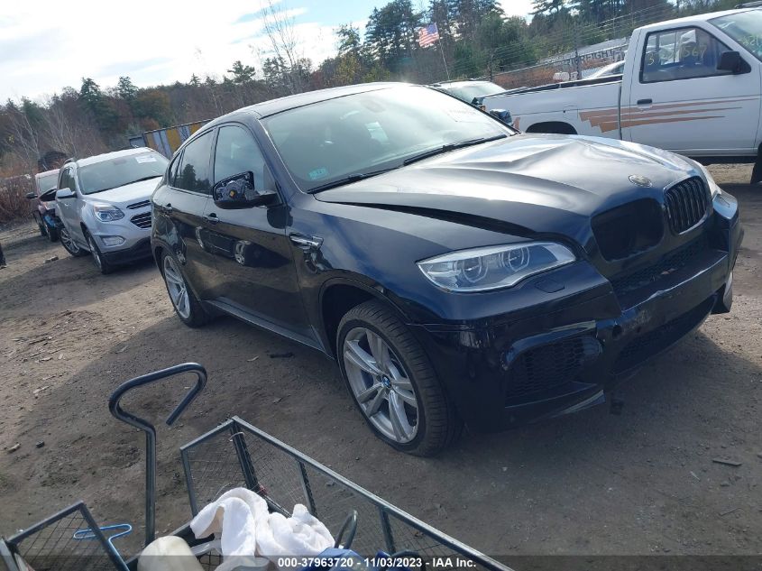 VIN 5YMGZ0C56E0C40473 2014 BMW X6, X6 M no.1