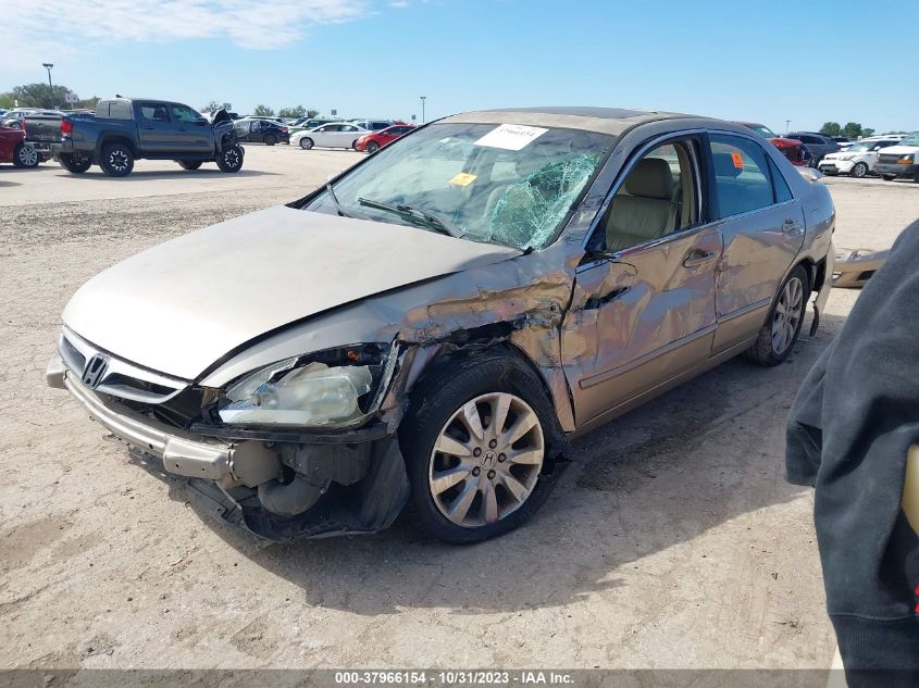 2007 Honda Accord 3.0 Ex VIN: 1HGCM66527A091088 Lot: 37966154