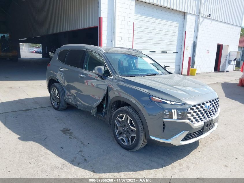 2023 Hyundai Santa Fe Limited VIN: 5NMS4DAL1PH531487 Lot: 37966268