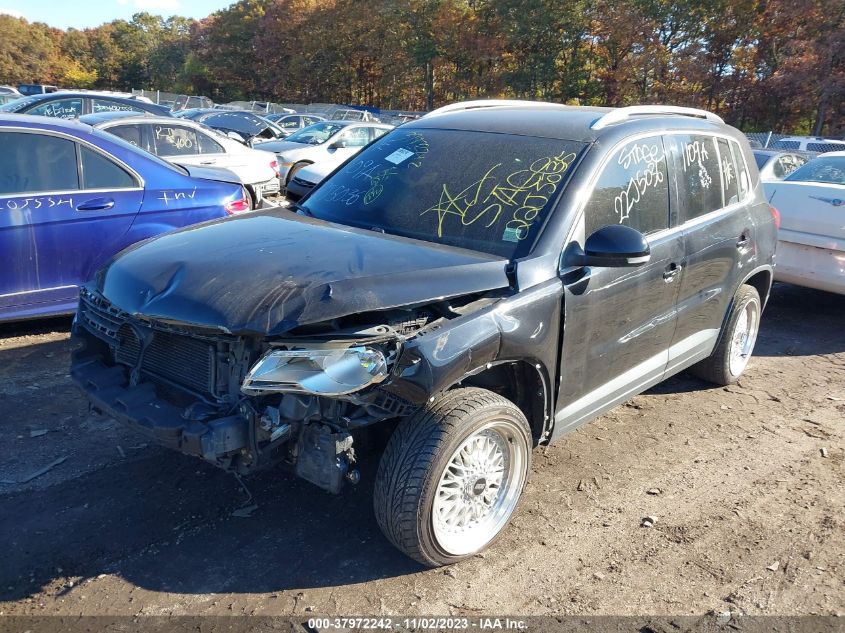 2009 Volkswagen Tiguan S/Se/Sel VIN: WVGAV75N59W500065 Lot: 37972242